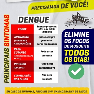 mosquito-aqui-nao-sintomas-dengue.jpg