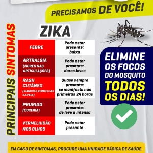 mosquito-aqui-nao-sintomas-zika.jpg