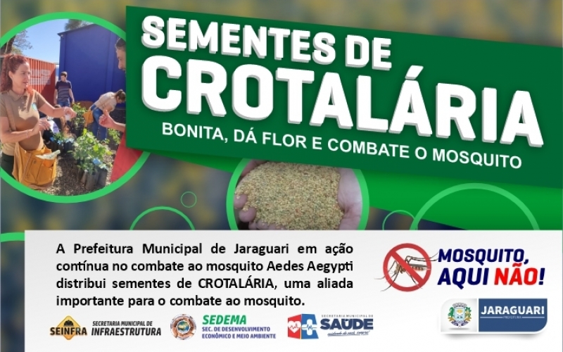 Sementes de CROTALÁRIA